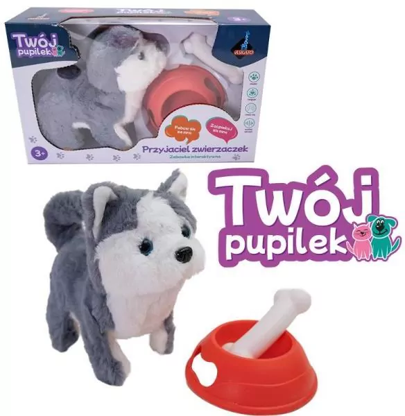 Piesek na baterie z akcesoriami - tantis.pl