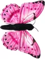Motyl monarcha różowy - tantis.pl