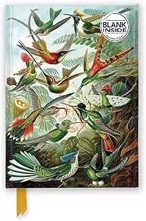 Notatnik A5 gładki TW Kolibry Ernst Haeckel - tantis.pl