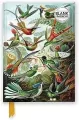 Notatnik A5 gładki TW Kolibry Ernst Haeckel - tantis.pl