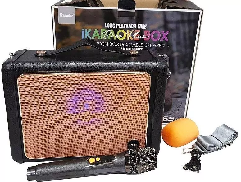 Głośnik Bluetooth z mikrofonem karaoke USB - tantis.pl