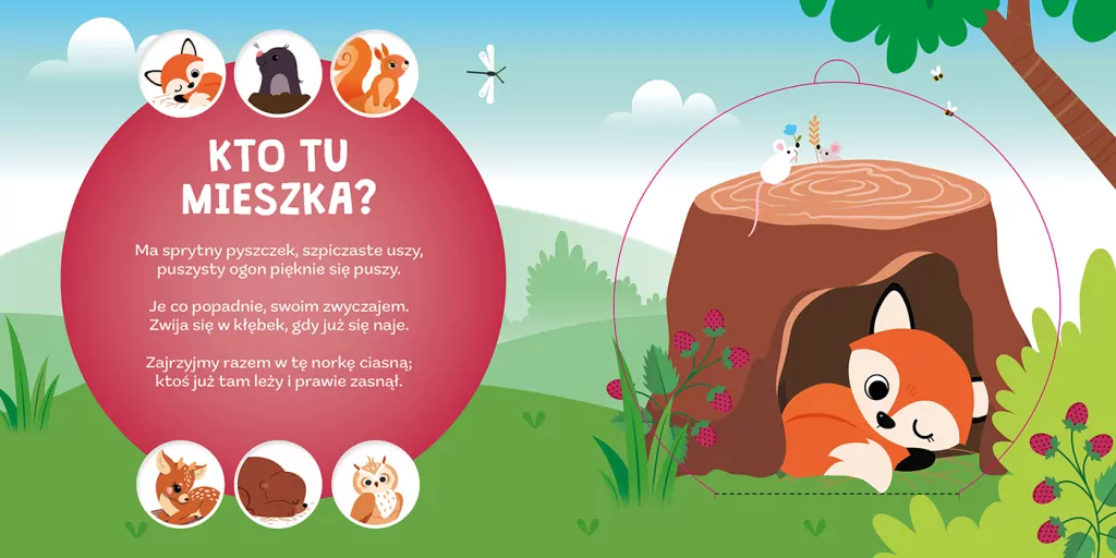 Gdzie się sowa do snu chowa? Kto mieszka w lesie - tantis.pl
