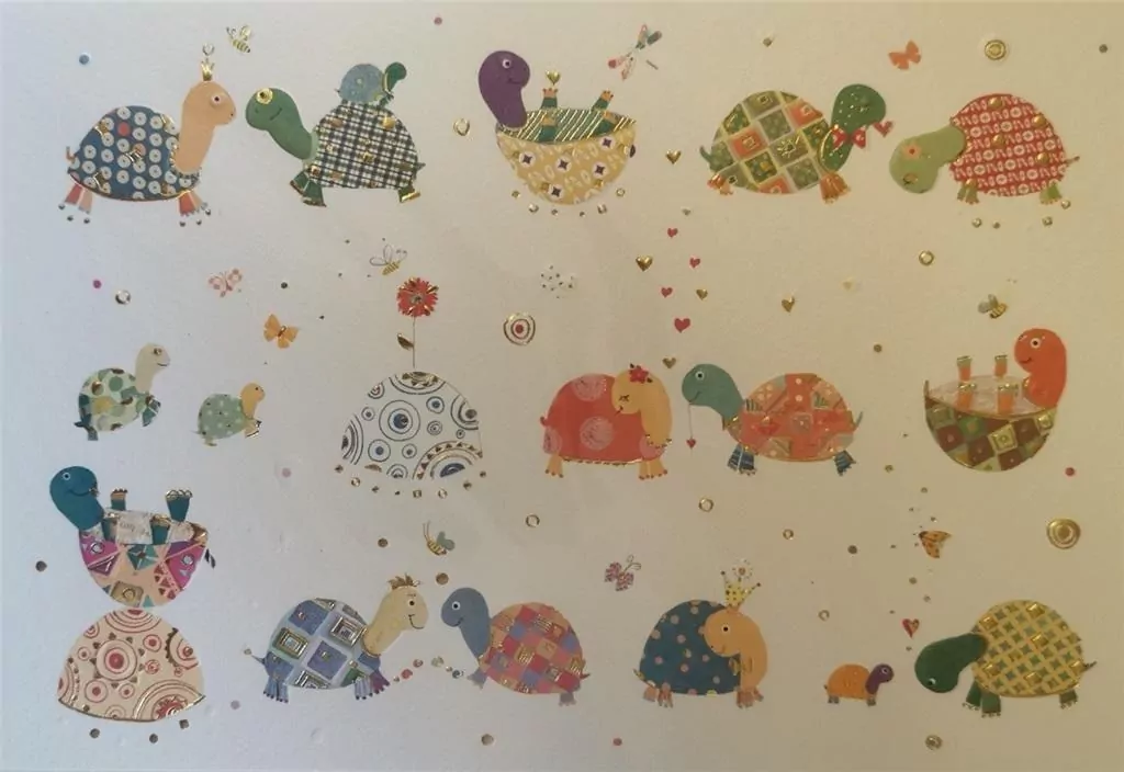 Karnet B6 + koperta MO6315 Żółwiki - tantis.pl