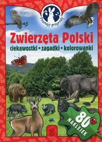 Poznaję przyrodę. Zwierzęta Polski. Ciekawostki, zagadki, kolorowanki - tantis.pl
