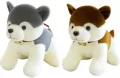 Husky 35cm MIX - tantis.pl