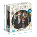 Puzzle 300. Harry Potter. Hermiona i Ron - tantis.pl