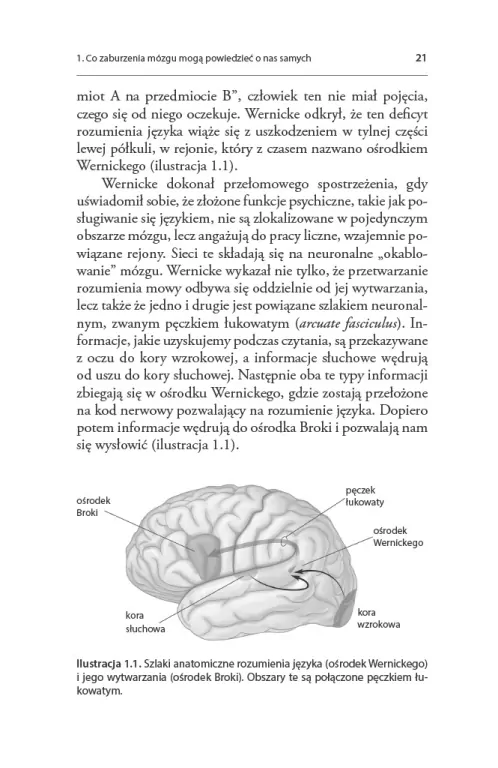 Zaburzony umysł. Co nietypowe mózgi mówią o nas samych - tantis.pl