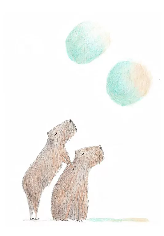 Być jak kapibara - tantis.pl