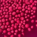 Zestaw DIY Slime - Magic Pink XL TUBAN - tantis.pl