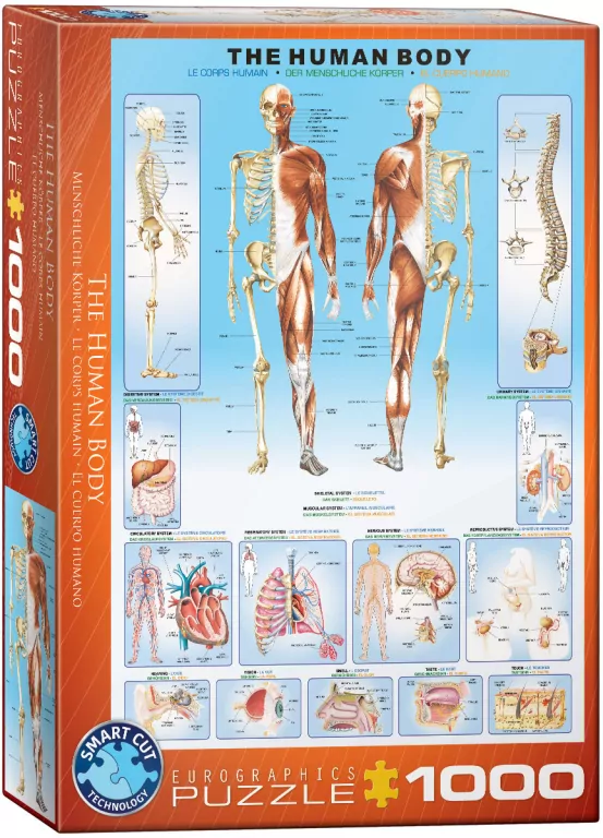 Puzzle 1000 The Human Body - tantis.pl
