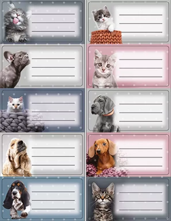 Naklejki na zeszyty The Sweet Pets - tantis.pl