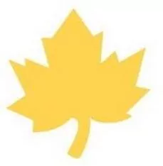 Dziurkacz ozdobny 2,5cm klon (JCDZ-110-022) - tantis.pl