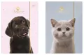 Teczka z gumką A4+ LUX UV Puppy Sign - tantis.pl