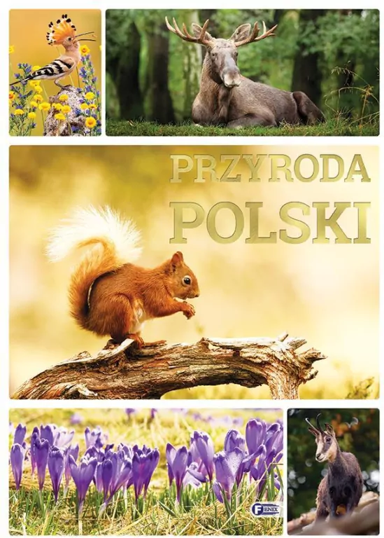 Przyroda Polski - tantis.pl