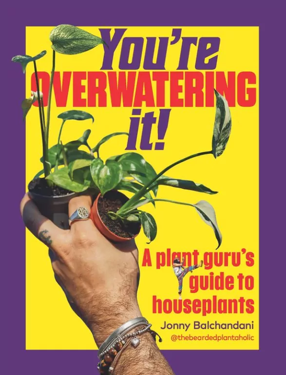 You're Overwatering It! - tantis.pl