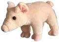 Świnka różowa 22cm - tantis.pl