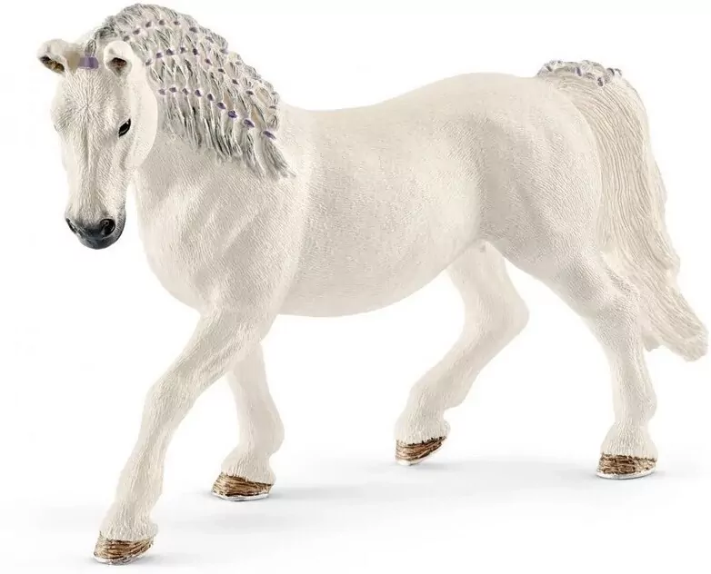 Klacz lipican Horse Club 13819 - tantis.pl