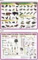 Podkładka edukacyjna. Biologia - tantis.pl