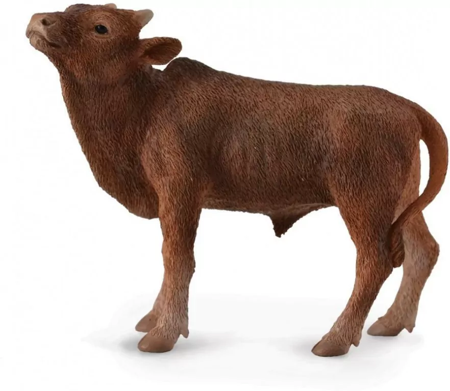 Cielę Ankole-Watusi - tantis.pl