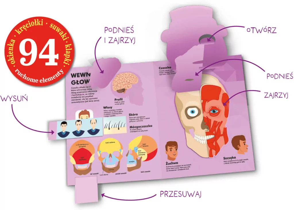 Człowiek od stóp do głów. Książka z ruchomymi elementami - tantis.pl