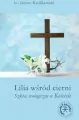 Lilia wśród cierni. Szkice teologiczne o Kościele - tantis.pl