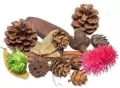 Susz dekoracyjny 30g - tantis.pl