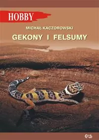 Gekony I Felsumy - tantis.pl