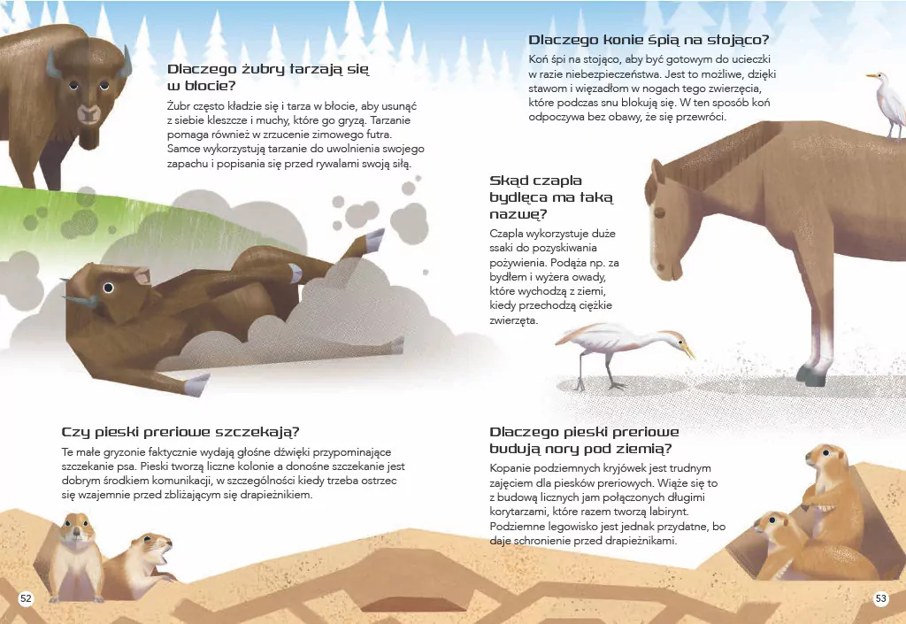 200 ciekawostek. Zwierzęta świata - tantis.pl