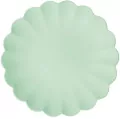 Talerzyki plastikowe szałwiowe 22x22cm - tantis.pl