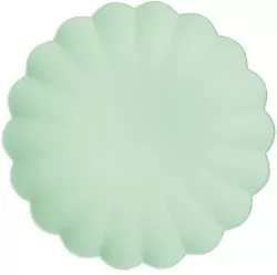 Talerzyki plastikowe szałwiowe 22x22cm