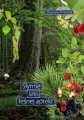 Słynne leki leśnej apteki - tantis.pl