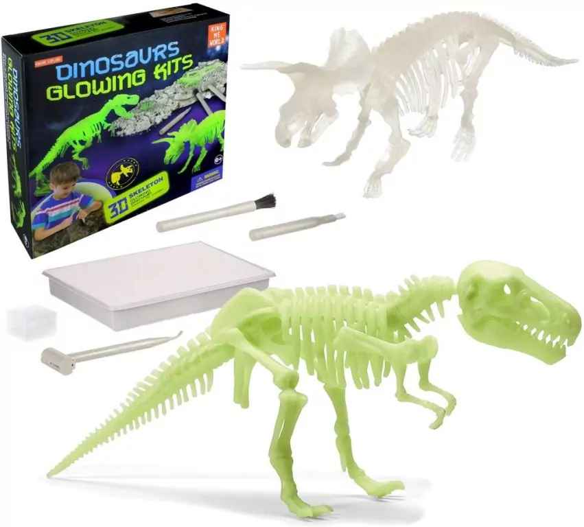 Wykopaliska paleontolog dinozaur fosforyzujący - tantis.pl