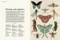 Animalium. Muzeum Zwierząt - tantis.pl