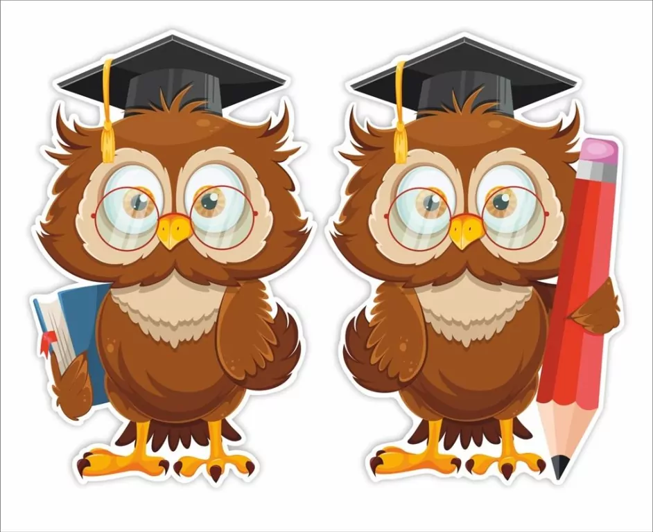 Dekoracje okienne szkoła: Sowy w biretach - tantis.pl