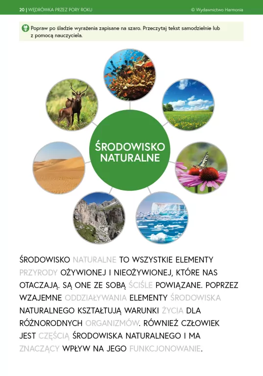 Wiosna. Wędrówka przez pory roku - tantis.pl