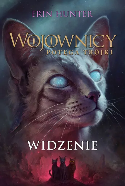 Widzenie. Wojownicy. Tom 13 - tantis.pl
