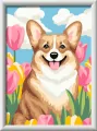 CreArt for Kids Floral Corgi - tantis.pl