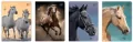 Zeszyt A5/16K kratka 70g UV Wild Horses (20szt) - tantis.pl