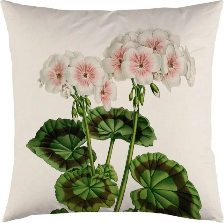 Poszewka na poduszkę 50x50cm - Biała pelargonia - tantis.pl