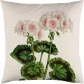 Poszewka na poduszkę 50x50cm - Biała pelargonia - tantis.pl