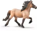 Icelandic Stallion Bay Dun - tantis.pl