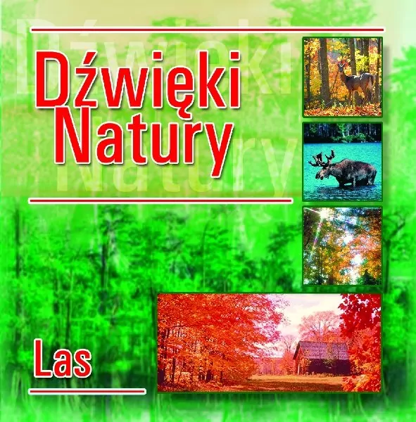 Dźwięki natury. Las CD - tantis.pl