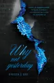 Why Not Yesterday (barwione brzegi) - tantis.pl