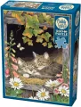 Puzzle 500 Kocie rodzeństwo 112642 - tantis.pl