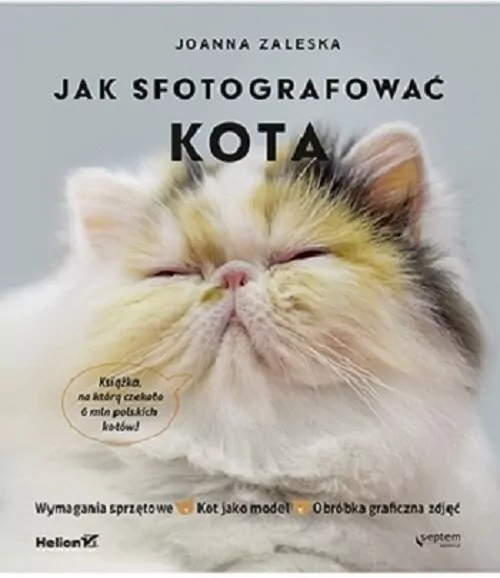 Jak fotografować kota - tantis.pl