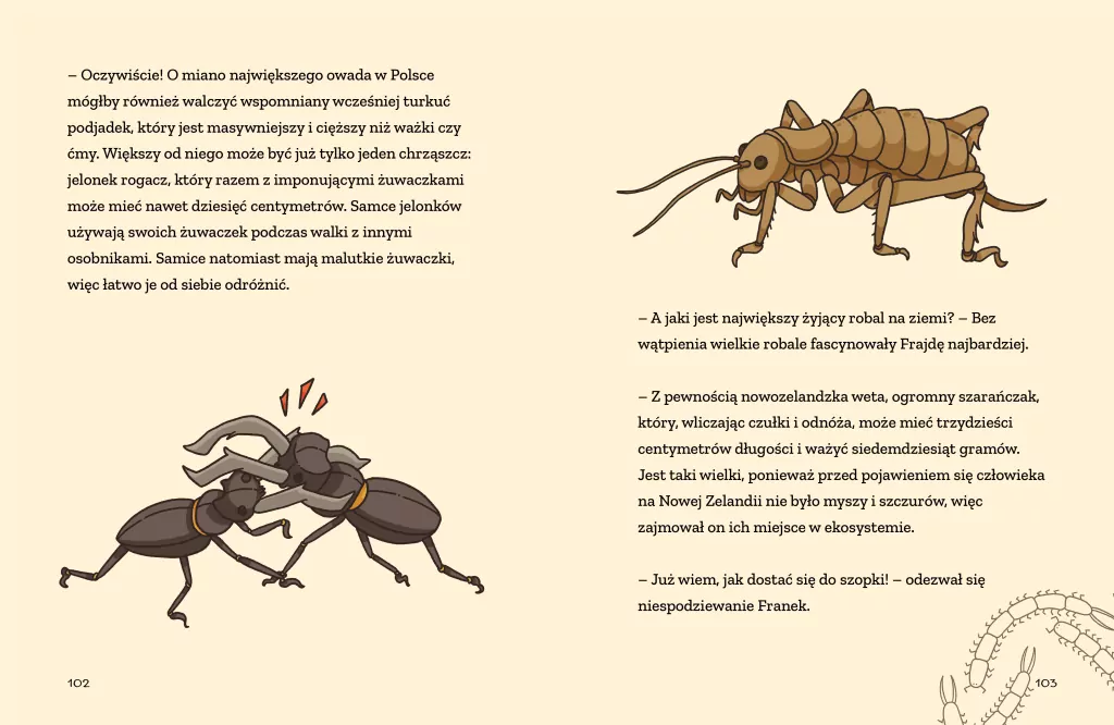 Patyki, kamyki i ROBALE. - tantis.pl