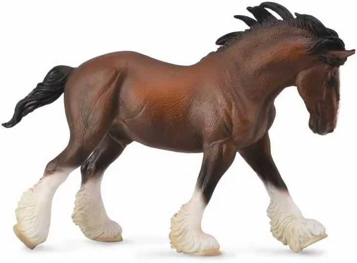 Ogier Clydesdale maści Bay - tantis.pl