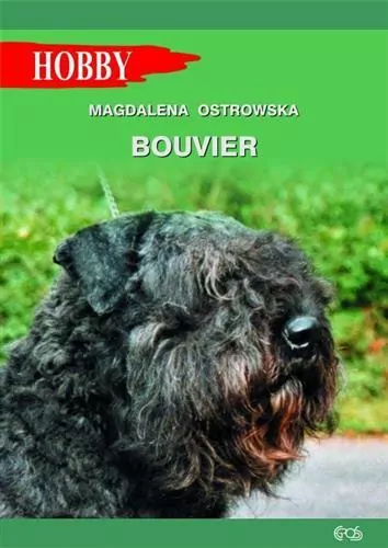 Bouvier - tantis.pl