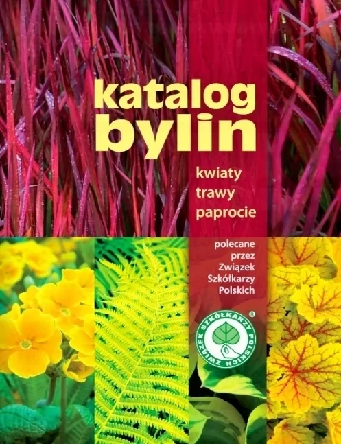 Katalog bylin. Kwiaty, trawy i paprocie - tantis.pl