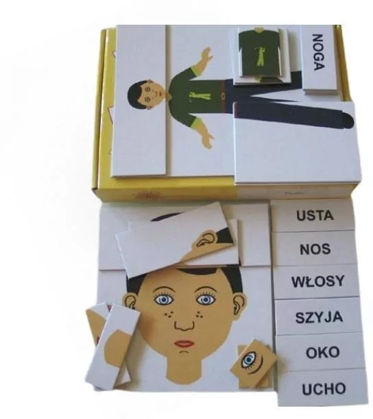 Zestaw dydaktyczny. Postać / Twarz - tantis.pl